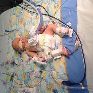 Fundraising Page: Jennifer Trulen